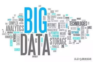 金融服務鄉村振興 農險的創新與發展與互聯網數據服務的融合